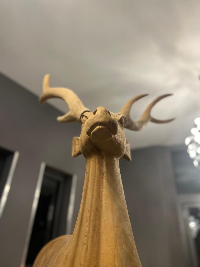 Allee Hotel Karlsruhe Dış mekan fotoğraf